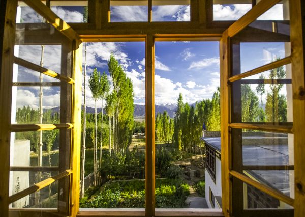Wood Window Replacement in Groveland