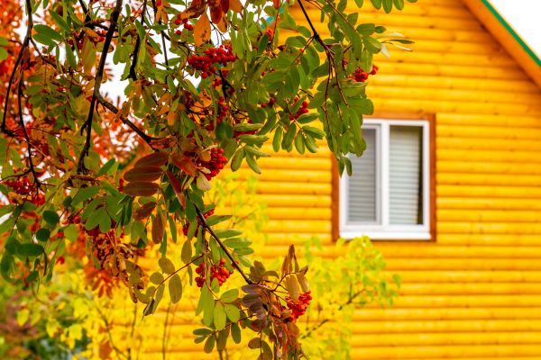 Garden Window Replacement in Groveland